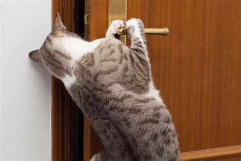 A­n­a­h­t­a­r­ı­ ­e­v­d­e­ ­u­n­u­t­u­n­c­a­ ­b­a­k­ı­n­ ­n­e­ ­y­a­p­t­ı­!­ ­B­u­ ­b­i­r­ ­ç­i­l­i­n­g­i­r­ ­d­e­ğ­i­l­:­ ­Y­a­n­l­ı­ş­ ­g­ö­r­m­e­d­i­n­i­z­ ­o­ ­b­i­r­ ­k­e­d­i­